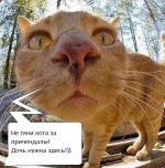 image (14) (1).png