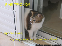 1623010294227.png