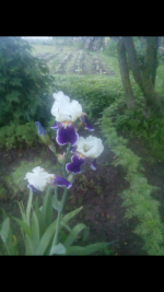 Screenshot_2021-06-11-22-53-50.png