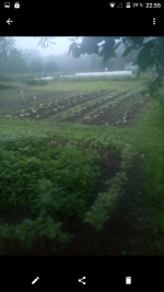 Screenshot_2021-06-11-22-55-40.png