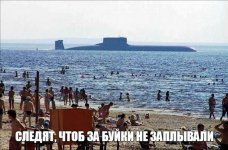 84f21dba0dba94d247aee1f0595c20497e3cbc9dr1-1535-1010v2_uhq.jpg