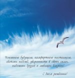 IMG_1979.jpeg