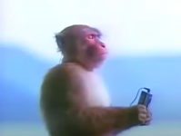 1728668095384.png
