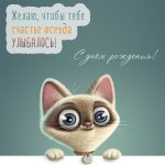 1496160823_kotik.jpg