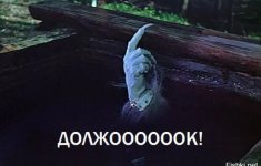 IMG_7820.jpeg