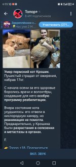 Screenshot_20241027_111057_org.telegram.messenger.jpg