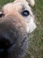 IMG_5623.jpeg