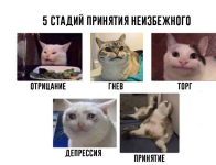 1731481799784.png