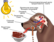 1732650229762.png