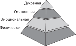 232459_53__1.png