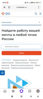 Screenshot_2024-12-21-15-55-27-258_ru.yandex.searchplugin.jpg