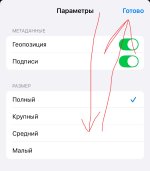 IMG_6358.jpeg