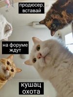 Picsart_25-01-11_17-06-23-203.jpg