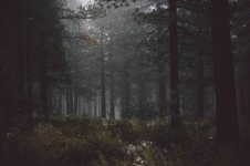 9435.jpg