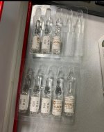 IMG_6414.jpeg
