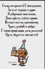 IMG_6226.jpeg