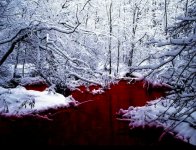 IMG_7141.jpeg