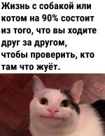 1000073716.jpg