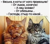 Безымянный.png