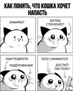1000074903.jpg