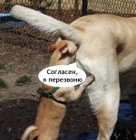 IMG_20250305_172731.jpg