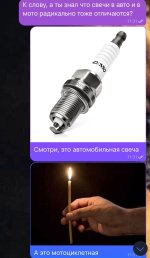 1000079223.jpg