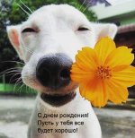 др.jpg