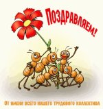 IMG_2466.jpeg IMG_2466.jpeg