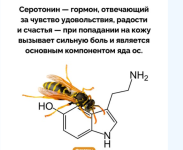 Безымянный.png