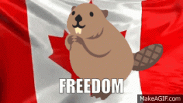 CanadaFreedomGIF.gif