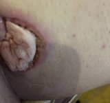 IMG_9096.jpeg