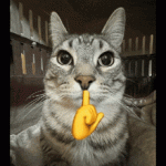 MewingCuteGIF.gif