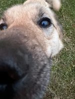 IMG_9380.jpeg IMG_9380.jpeg