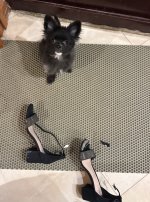 IMG_1348.jpeg