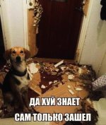IMG_1334.jpeg