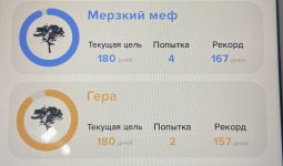 IMG_2968.jpeg