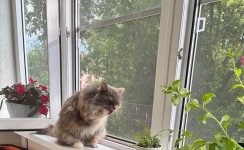 IMG_3142.jpeg