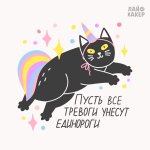 IMG_3593.jpeg