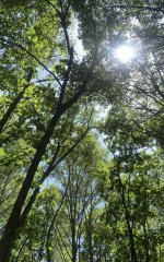 IMG_4215.jpeg