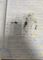 IMG_4251.jpeg