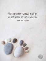 IMG_3555.png
