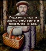 IMG_2828.jpeg