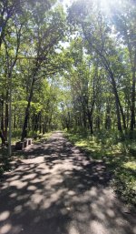 IMG_5200.jpeg