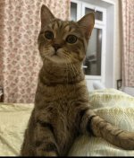 IMG_3285.jpeg