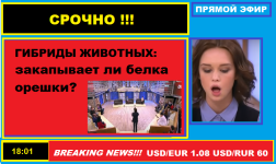 1755185943304.png