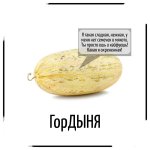 1000012737.jpg