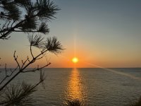 IMG_3327.jpeg