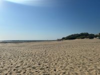 IMG_3427.jpeg