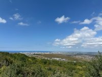 IMG_3731.jpeg