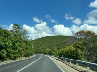 IMG_3727.jpeg